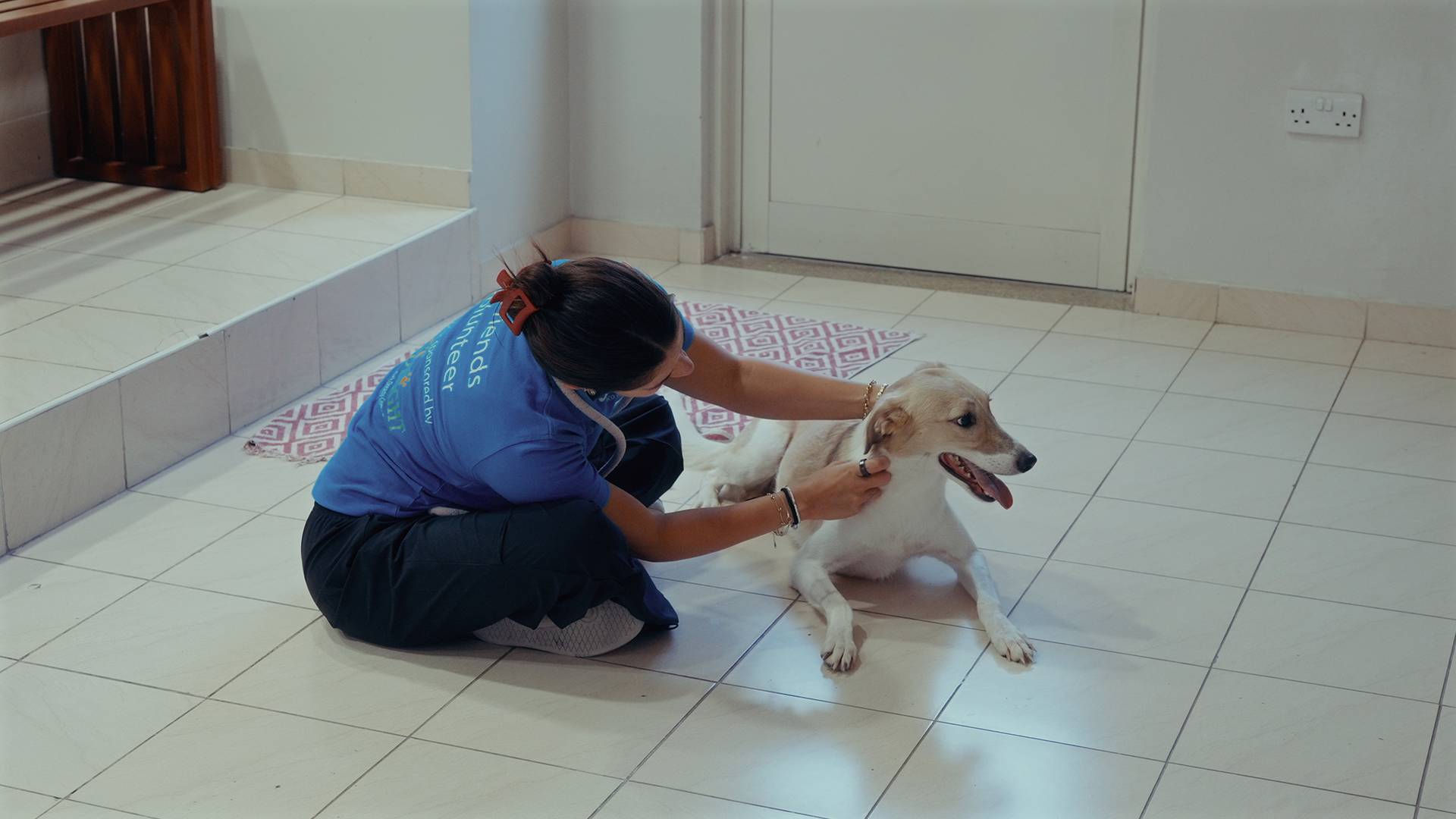 Rescue Pets